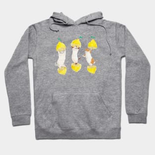 Dokidoki Lemon Nyanco Hoodie